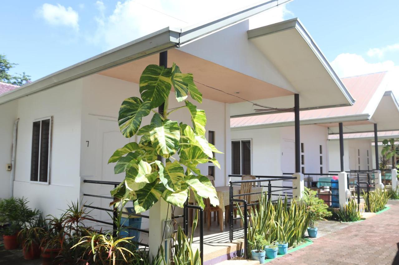 Ice Bear Bar & Tourist Inn Dauis Ngoại thất bức ảnh
