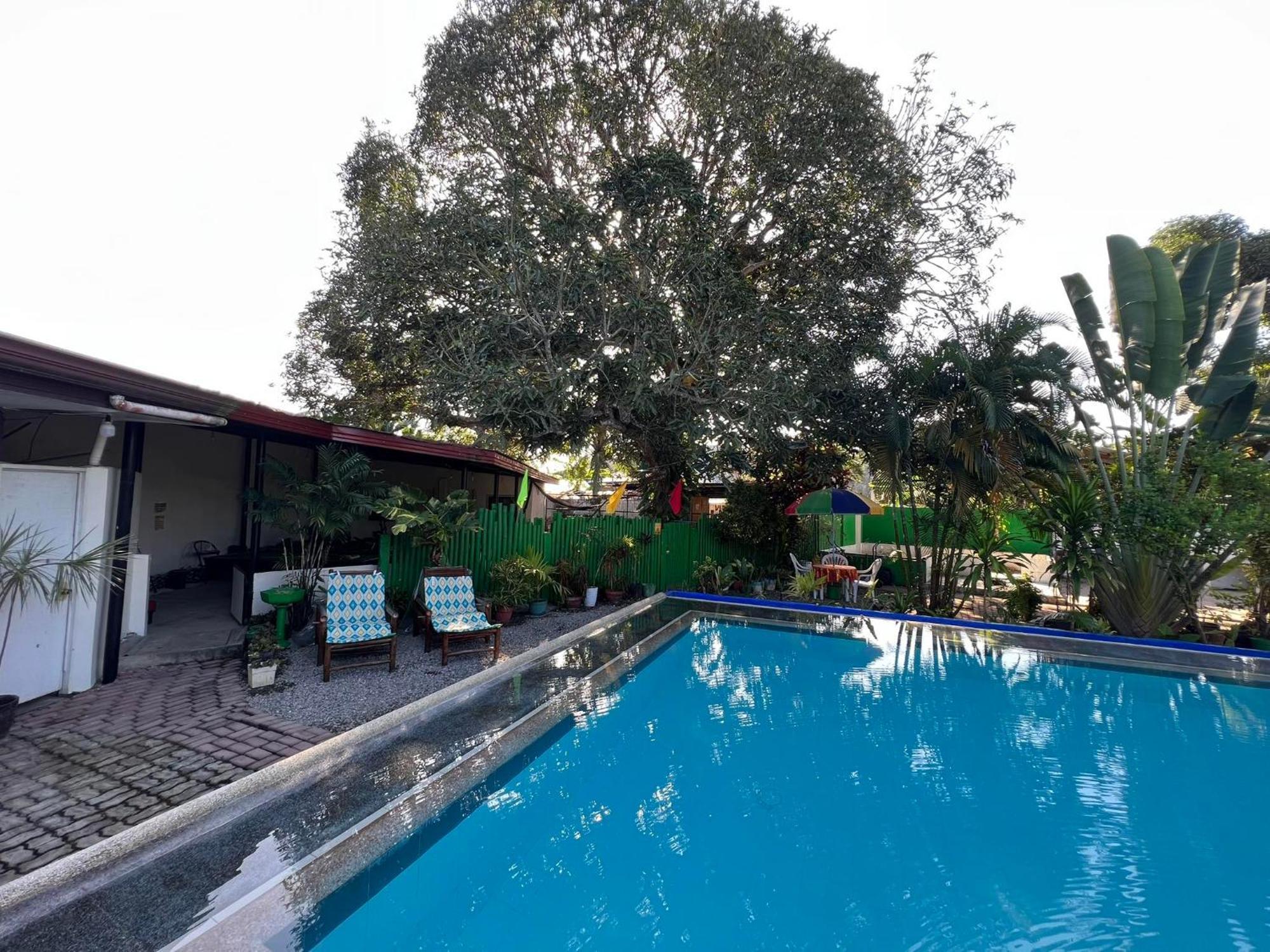 Ice Bear Bar & Tourist Inn Dauis Ngoại thất bức ảnh