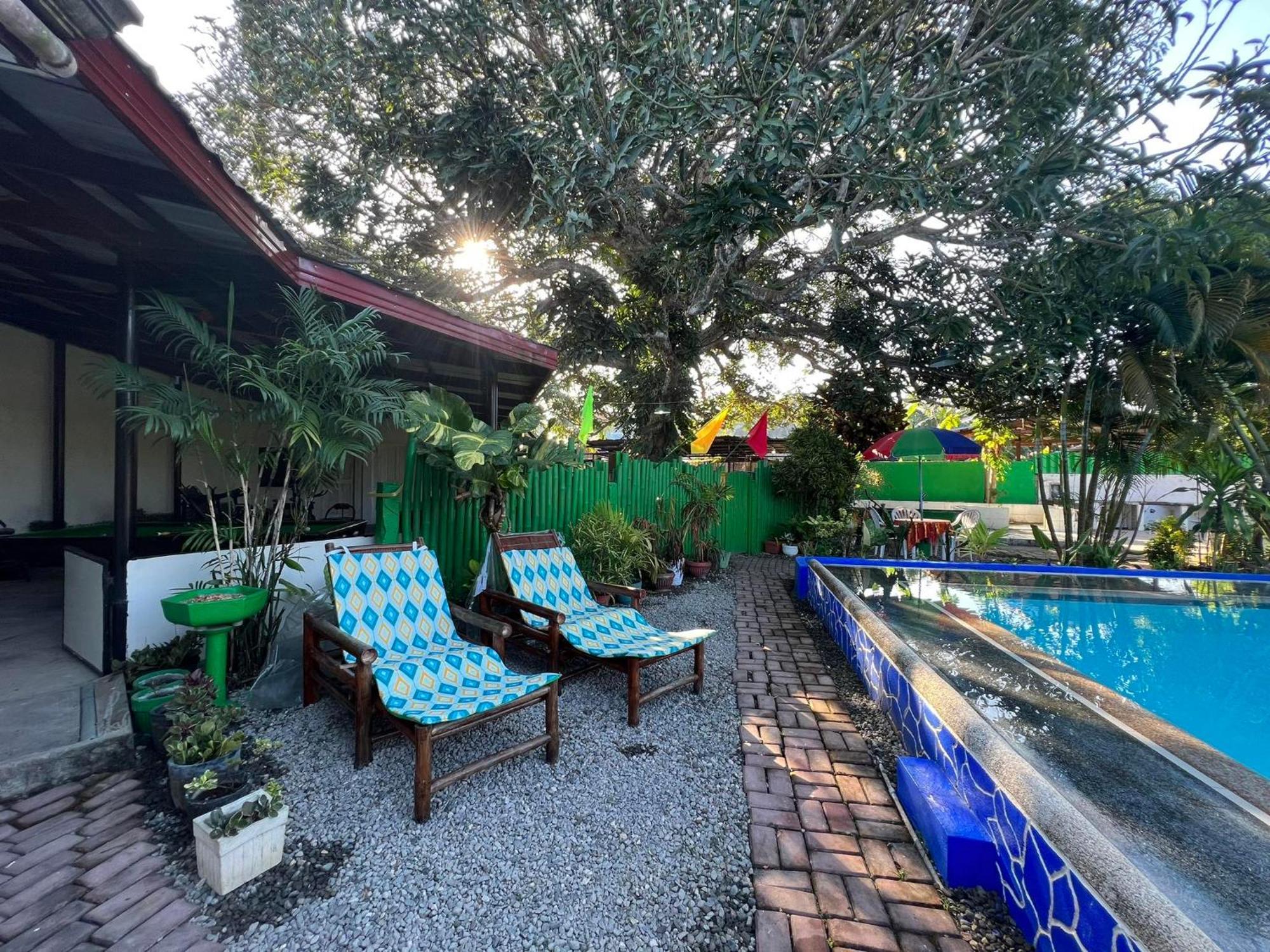 Ice Bear Bar & Tourist Inn Dauis Ngoại thất bức ảnh