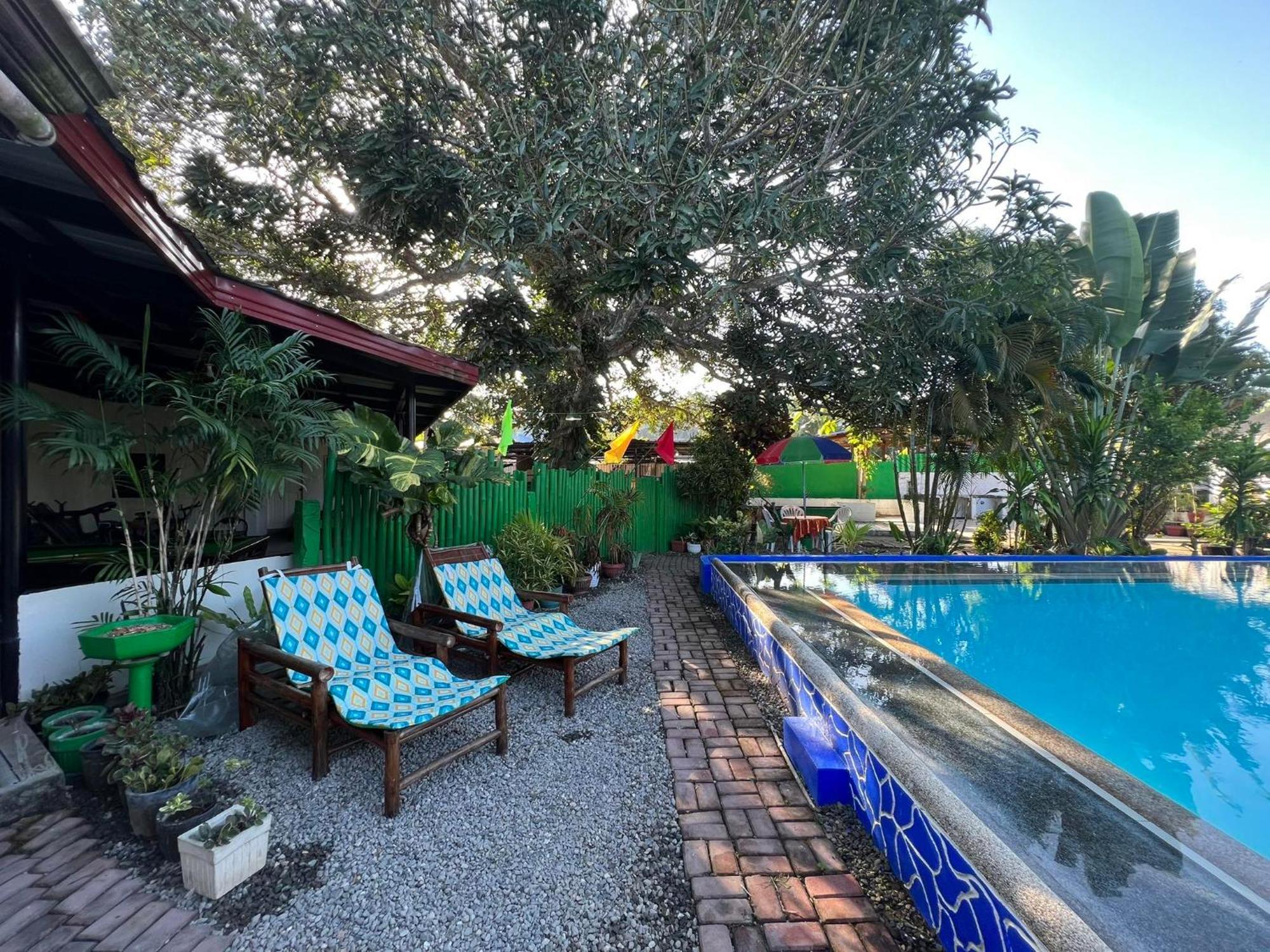 Ice Bear Bar & Tourist Inn Dauis Ngoại thất bức ảnh