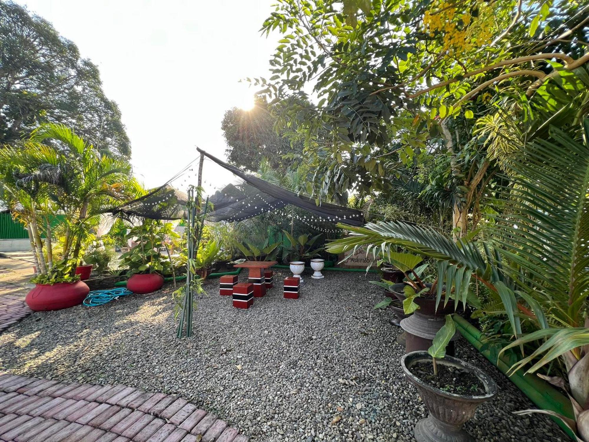 Ice Bear Bar & Tourist Inn Dauis Ngoại thất bức ảnh